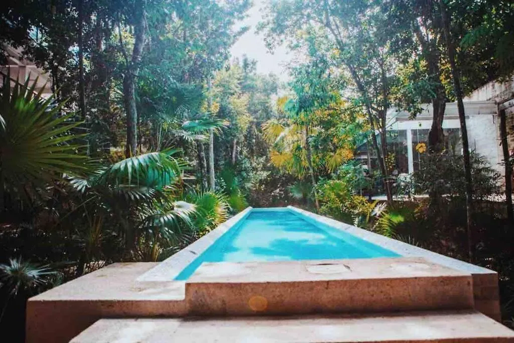 Lux 2Br Condo On Tulum Cc Akumal
